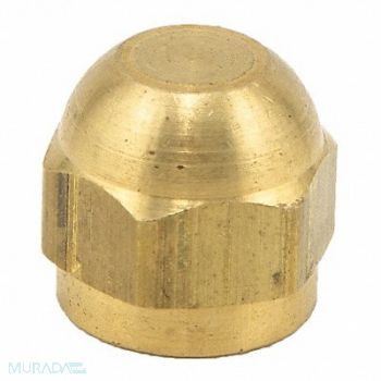 Cap 1/8 In SAE Use w/Watts Series SAE-TC, 6AUY1