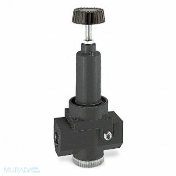 WILKERSON Air Regulator 3/4 In NPT 470 cfm 300 psi, 6B207