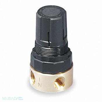 WILKERSON Air Regulator 1/4 in NPT 14 cfm 300 psi, 6B216