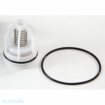 Repair Kit Watts Series 909 8 In, 6CUK0