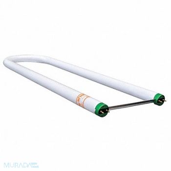 SHAT-R-SHIELD U-Bend FLUOR Bulb T8 G13 4100K 32W, 6DZG1