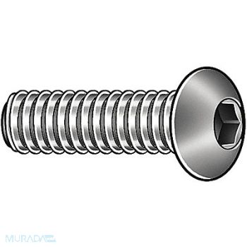 GRAINGER APPROVED SHCS SS M4-0.7 50mm L PK10, 6EB34