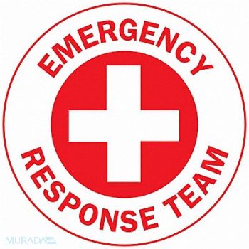 BRADY Hard Hat Emblem Label English PK4, 6EW75