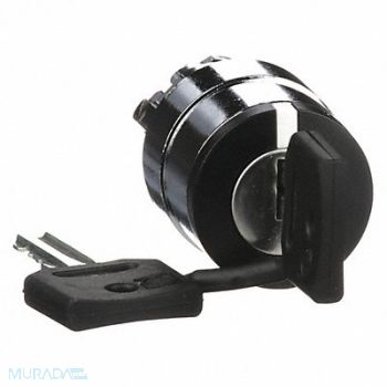 SCHNEIDER ELECTRIC Non-Illum Selector Swtch 22mm 2 Pos Keyd, 6HN52