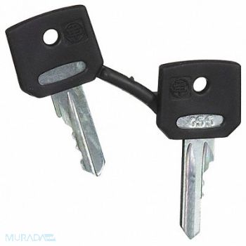 SCHNEIDER ELECTRIC Set of Keys Replacement 22mm, 6HZ23