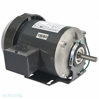 DAYTON GP Motor 1/3 HP 1 725 RPM 115V AC 48Z, 6K572