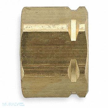 PARKER Tube Nut Brass Comp 1/2In PK50, 6LH19