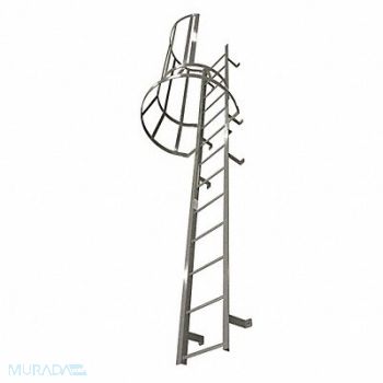 COTTERMAN Fixed Ladder w/Safety Cage 24 ft 3 In H, 6MXT0