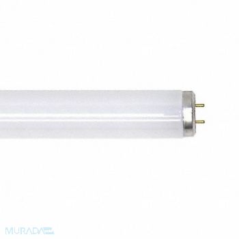 CURRENT Linear FLUOR Bulb T12 47-3/4 L G13 6500K, 6NB37