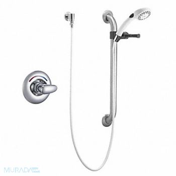 DELTA Hand Shower Kit Wall Mount, 6NRF8