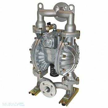 DAYTON Dbl DphrmPmp NPT/Flange TPV 1/2in 115gpm, 3HJX1