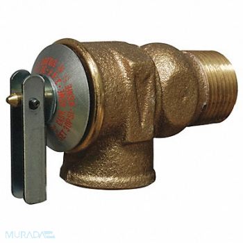 CASH ACME Safety Relief Valve 3/4 In 30 psi Brass, 6RKF1