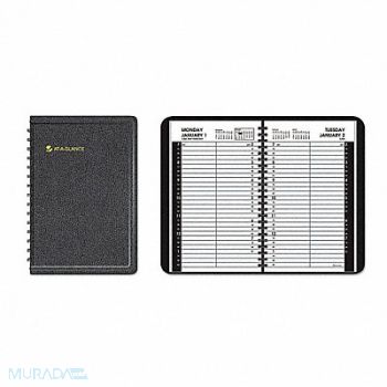 AT-A-GLANCE Appointment Book Daily, 6RMJ6