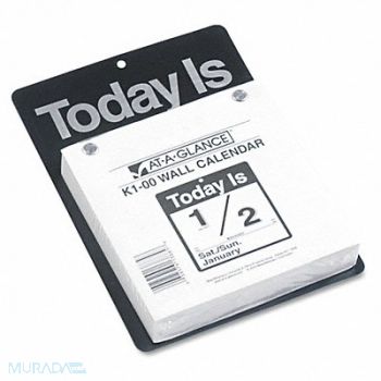 AT-A-GLANCE Wall Calendar Daily 6 x 6 In, 6RMR4