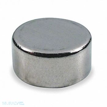 GRAINGER APPROVED Disc Magnet Neodymium 7 lb Pull, 6YA39