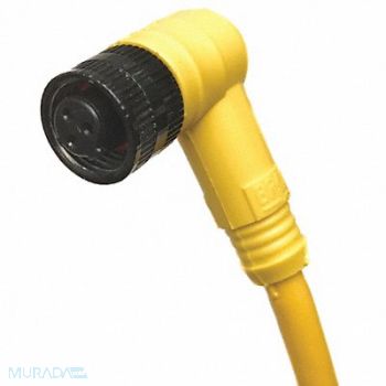 BRAD HARRISON Cordset 3 Pin Receptacle Female, 6YB36