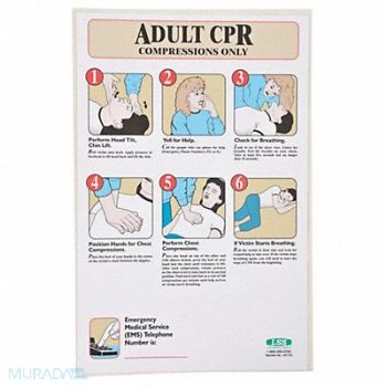 ACCUFORM First Aid Poster 17 in x 11 in Plastic, 6ZDR6