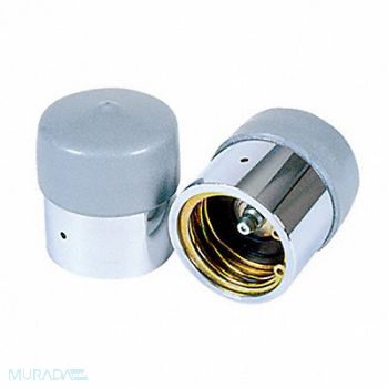 REESE Wheel Bearing Protector Chrome Plated, 2ZPW3