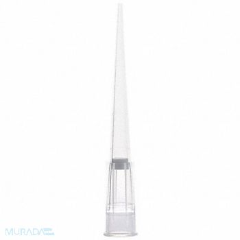 GLOBE SCIENTIFIC Filter Pipette Tip Polypropylene PK1920, 784JN2