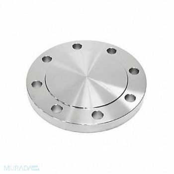 GUARDIANMADE Blind Flange 316L SS 8 NPS, 793DX8