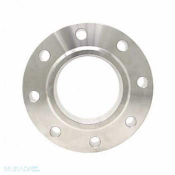 GUARDIANMADE Slip-On Flange 316L SS 10 NPS, 793DY0