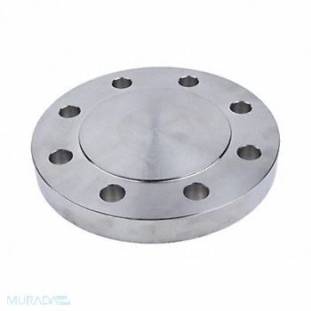 GUARDIANMADE Blind Flange 316L SS 10 NPS, 793DY2