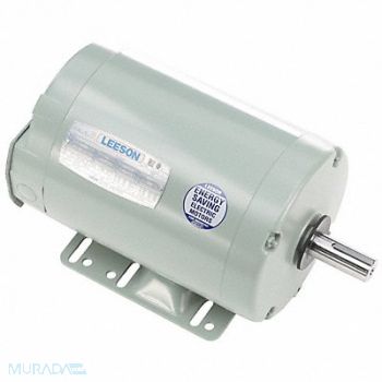 LEESON Motor 3 hp Three Phase Frame Steel, 798KN0