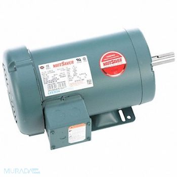 LEESON General Purpose Motor 3 hp 8.0/4.0 A, 798KN3