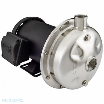 AMERICAN STAINLESS PUMPS Centrifugal Pump 208 to 230/460VAC SS, 60PY39