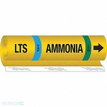 BRADY Pipe Marker Ammonia 26 in H 12 in W, 8CN91