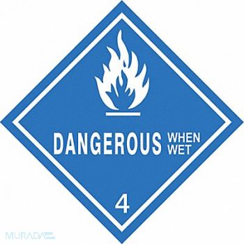 GRAINGER APPROVED DOT Container Label 4 Label W PK250, 8EY47