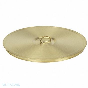 ADVANTECH Test Pan Cover Brass 8 In Lifting Ring, 8N518