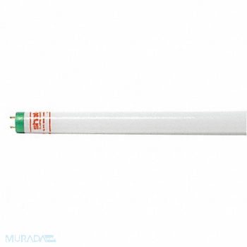 SHAT-R-SHIELD Linear FLUOR Bulb T8 48 L G13 4100K, 8PK79