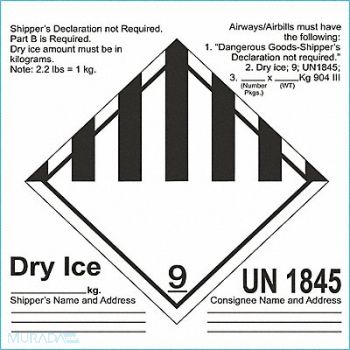 GRAINGER APPROVED UN Container Label 6-1/2 Label W PK100, 8UV48