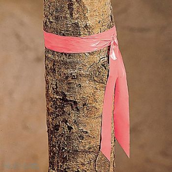 PRESCO PRODUCTS CO Taffeta Flagging Tape Pink 300 ft x 1 In, 9AEV2