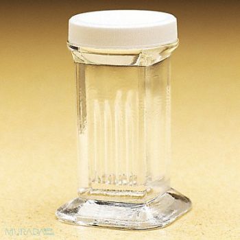 WHEATON Glass Coplin Staining Jar PK6, 9T728