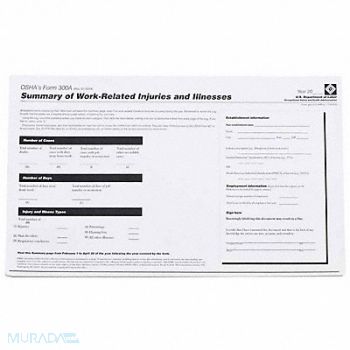 BRADY Forms OSHA 300A Log, 9WY38