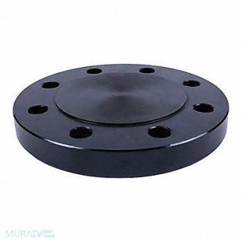 GRAINGER APPROVED Pipe Flange Steel 4 Pipe Size Class 150, 4TXE6