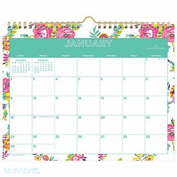 BLUE SKY Wall Calendar 11 x 8.75, 798AA0
