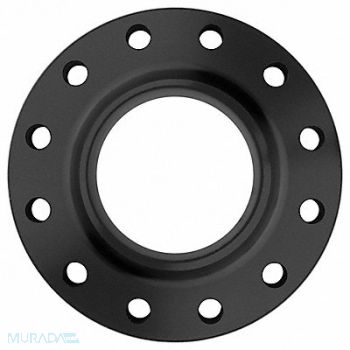 GRAINGER APPROVED Flange Steel Weld Neck 8 in Pipe Size, 60VM56