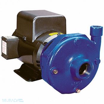 GOULDS WATER TECHNOLOGY Pump 5 HP 1 Ph 120/208 to 240VAC, 1N494