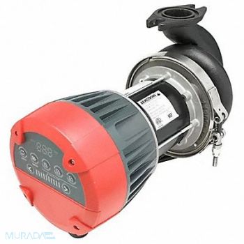 ARMSTRONG PUMPS INC. Potable Circulating Pump Flanged 1/6HP, 788V79