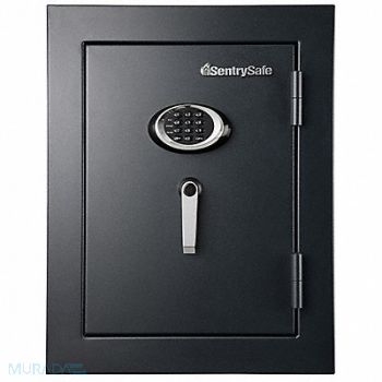 SENTRY SAFE Executive Fire Safe 3.4 cu ft Black, 6MPK6