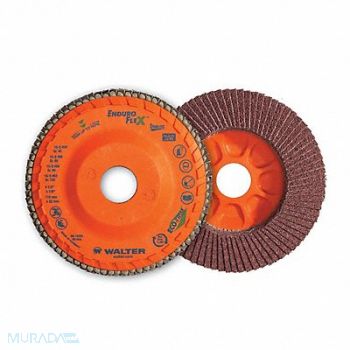 WALTER SURFACE TECHNOLOGIES Flap Disc Coated 5 dia 12 200 RPM, 804CH5