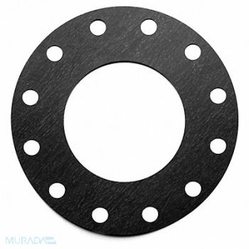GRAINGER APPROVED Flange Gasket Full Face 8 Pipe, 55YY56