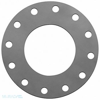 GRAINGER APPROVED Flange Gasket Full Face 8 Pipe, 55YY95