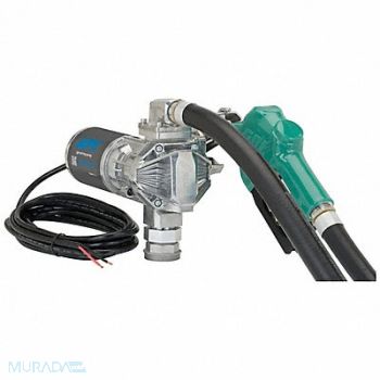 GPI Fuel Transfer Pump 12VDC 1 Dia Hose, 56LU64