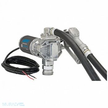 GPI Fuel Transfer Pump 12VDC 1 Dia Hose, 56LU63