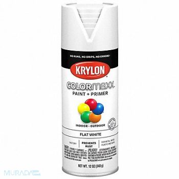 COLORMAXX Spray Paint Flat White 12 oz, 800T53