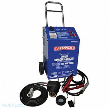 ASSOCIATED EQUIP Battery Charger 12/24V, 45RK19
